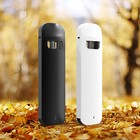 Food Grade Voltage Adjustable Disposable Vape Device P22 with 0.5/1.0/2.0ml