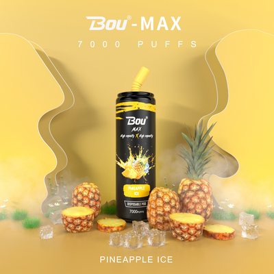 Mesh Coil BOU Max E Cigs Disposable Vape Pen 16ml E Liquid 650mah Rechargeable