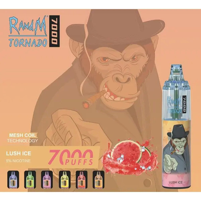 Custom 14ML RADNM Disposable Vape Vaporizer 7000 Puffs 45 Flavors E Cig