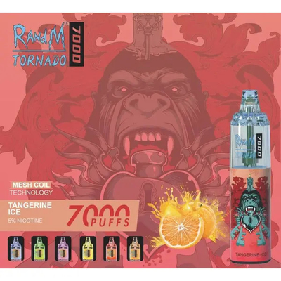 2022 Popular High Quality Original RandM Tornado 7000 Puffs With 53 Flavors