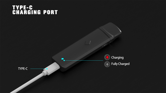 2ml Disposable Vape Pen Cartridge 2 in 1 Dual Flavors Vaporizer Pod Device with Type-C Charger