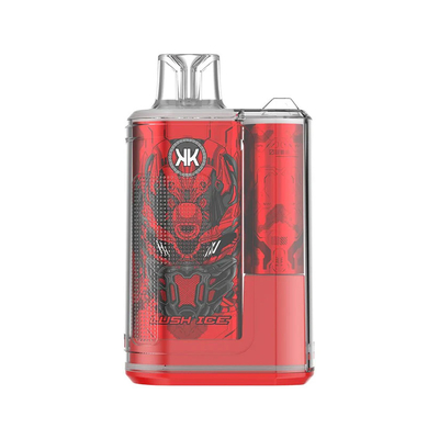 Disposable Vaporizer Pen Rechargeable ECK KK 12000 Puffs 5% Nicotine Fancy Taste Vapes