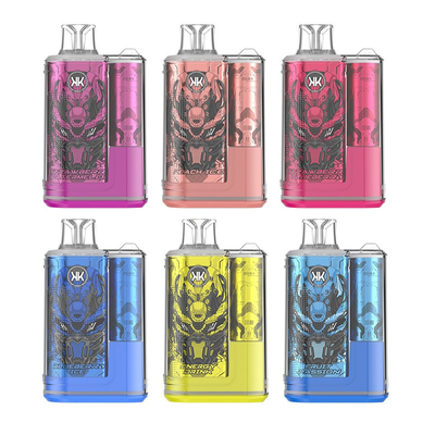 Disposable Vaporizer Pen Rechargeable ECK KK 12000 Puffs 5% Nicotine Fancy Taste Vapes