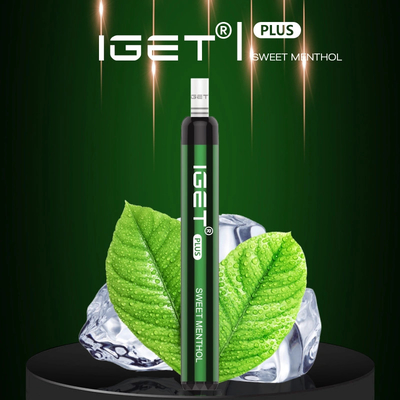 Premium Quality Disposable Electronic Cigarette Pen 1200 Puffs 4.8ml Iget Plus Disposable Vape