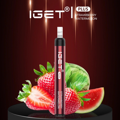 Premium Quality Disposable Electronic Cigarette Pen 1200 Puffs 4.8ml Iget Plus Disposable Vape