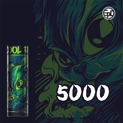 2022 New arrival Epod Energy vape pen 12 flavors 5% Nicotine Salt 5000 Puffs Disposable electronic cigarette